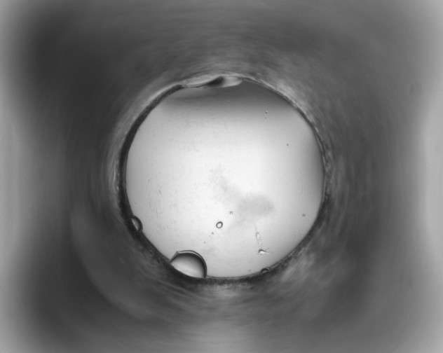 X0000096460103200802141540