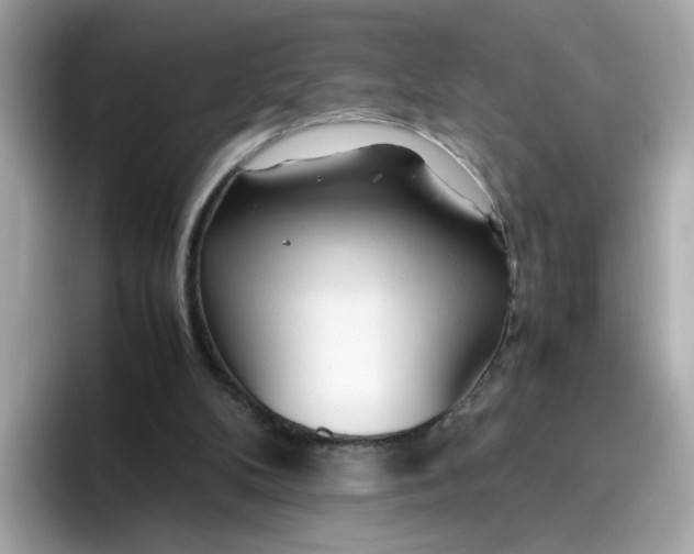 X0000096460104200802141540