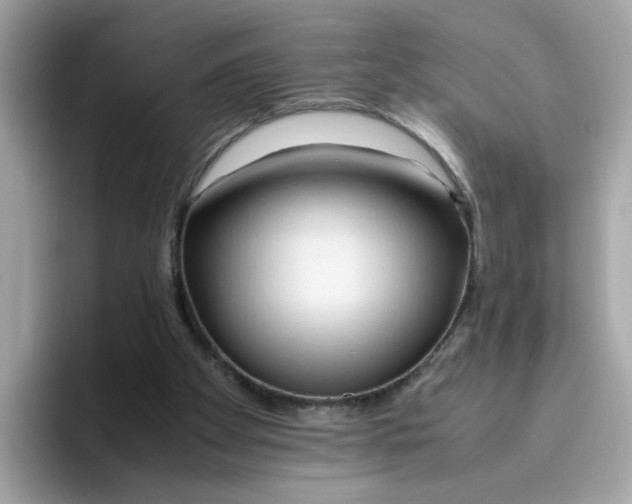 X0000096460105200802141540