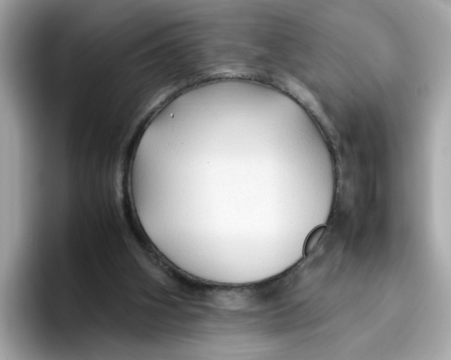 X0000096460106200802141540