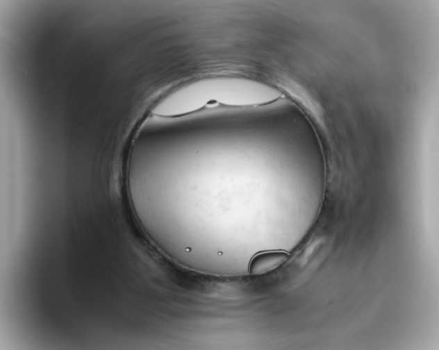 X0000096460107200802141540