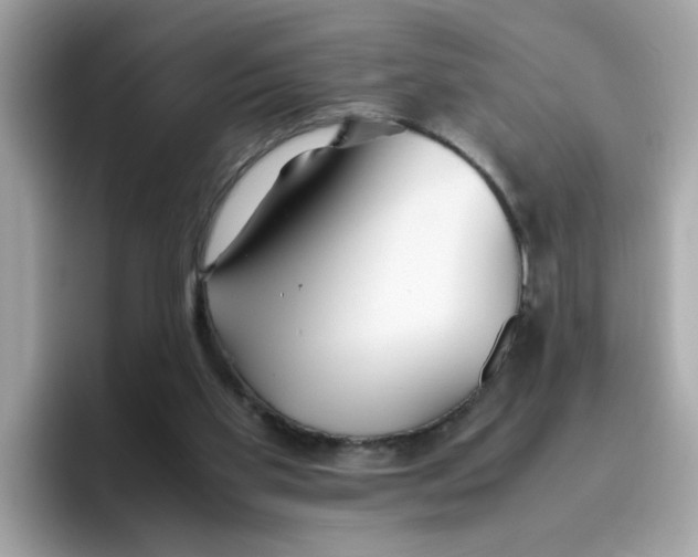 X0000096460109200802141540