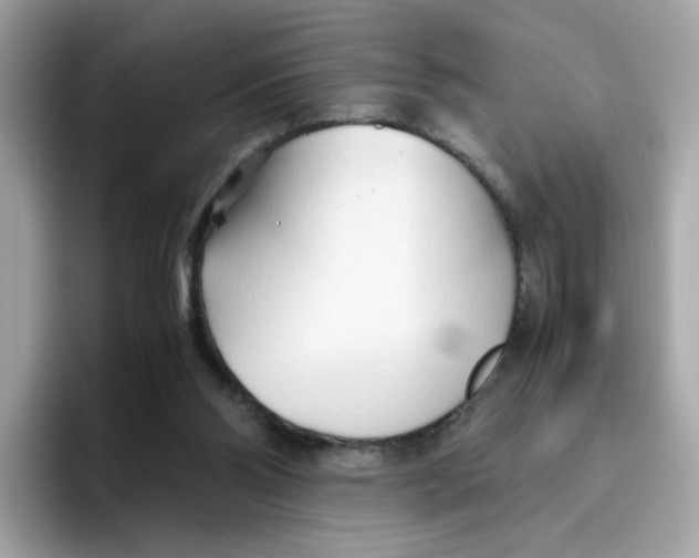 X0000096460110200802141540