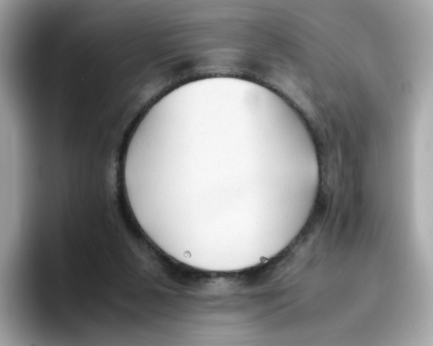 X0000096460111200802141540