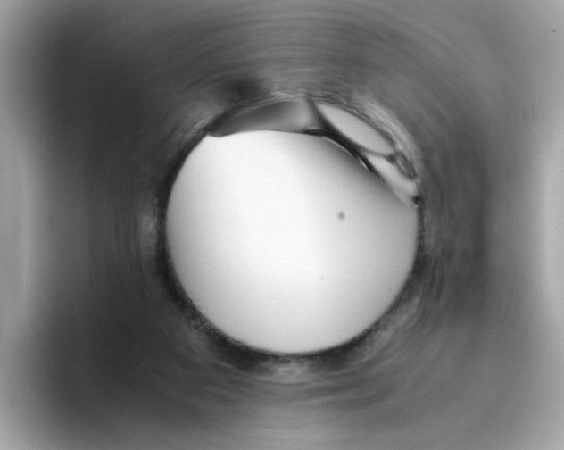 X0000096460113200802141540