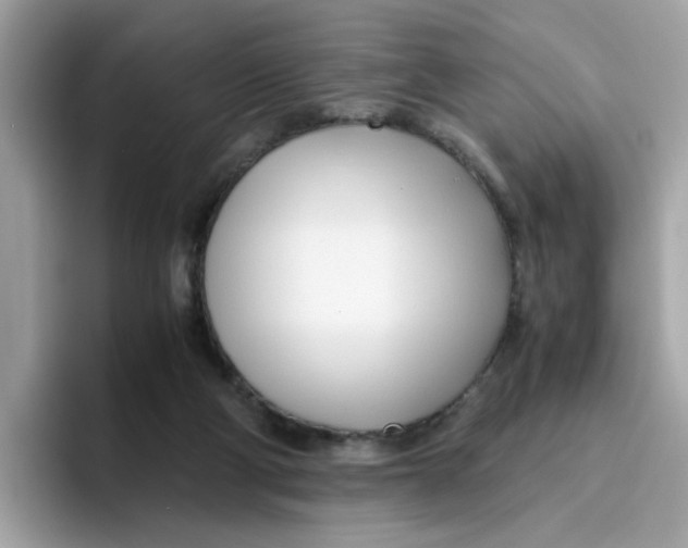 X0000096460114200802141540