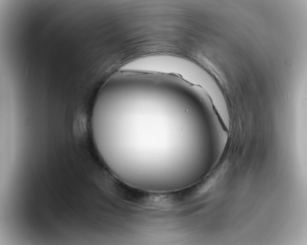 X0000096460117200802141540