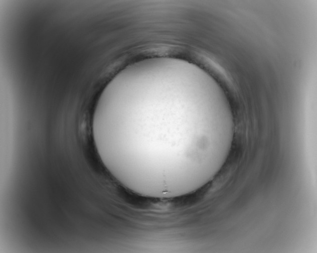 X0000096460119200802141540