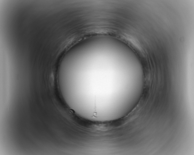 X0000096460120200802141540