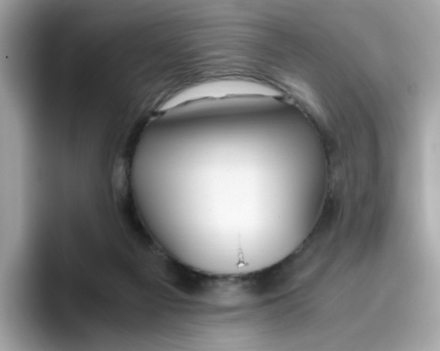 X0000096460121200802141540
