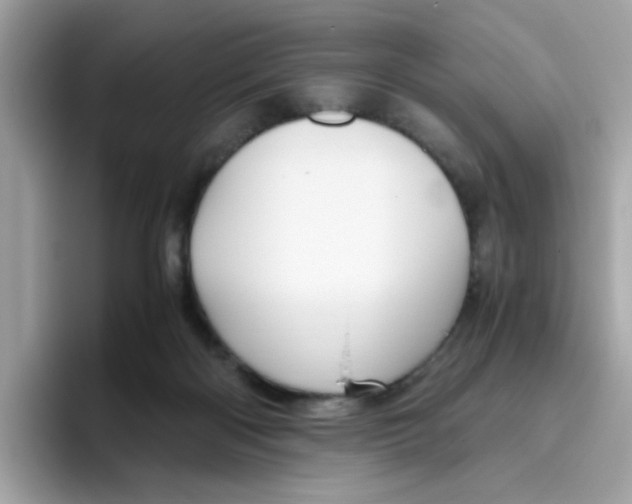 X0000096460122200802141540