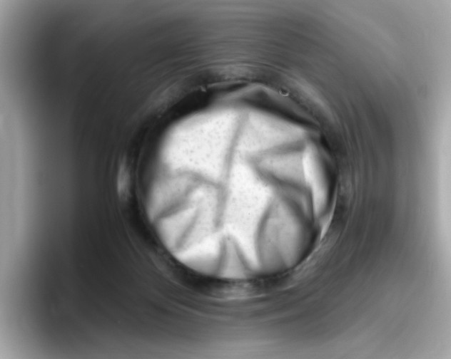 X0000096460124200802141540