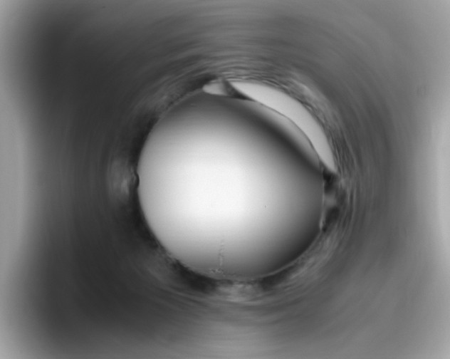 X0000096460125200802141540