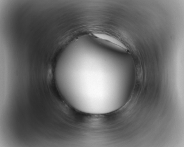 X0000096460128200802141540