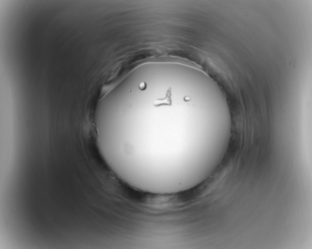 X0000096460129200802141540
