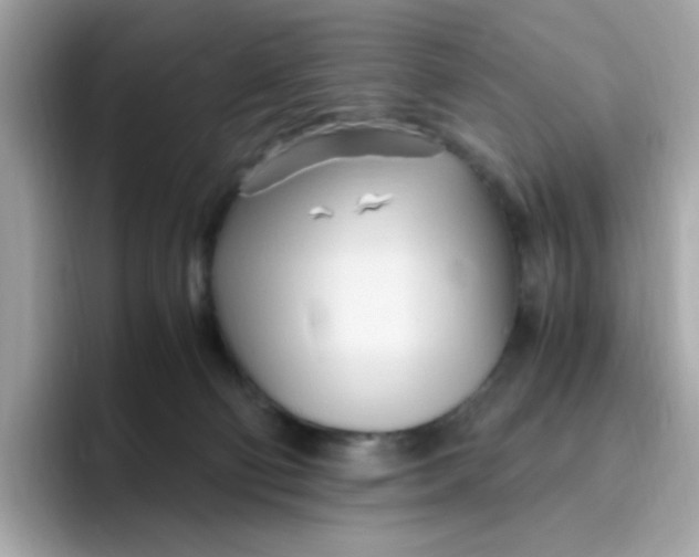 X0000096460130200802141540