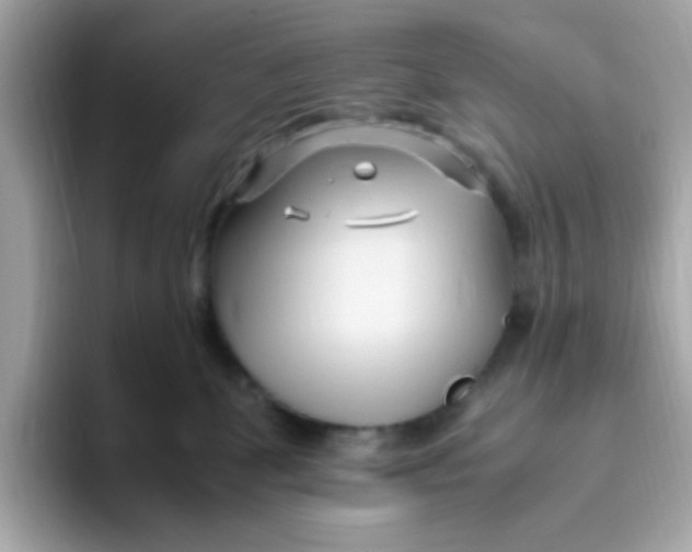 X0000096460131200802141540
