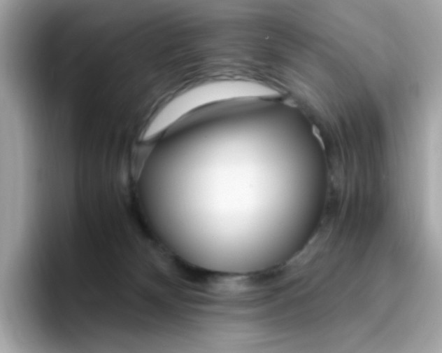 X0000096460132200802141540