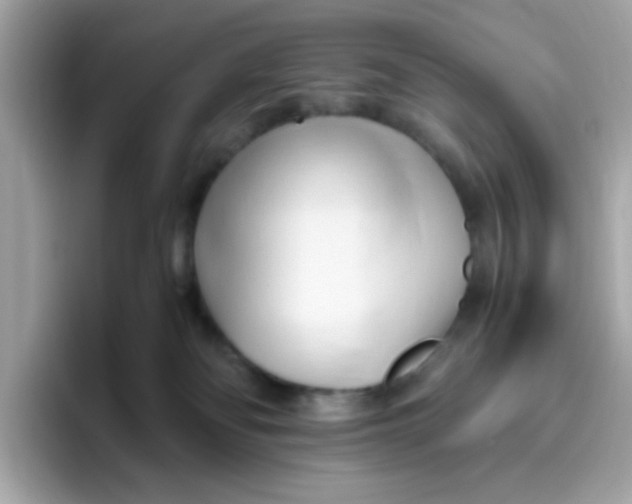 X0000096460134200802141540