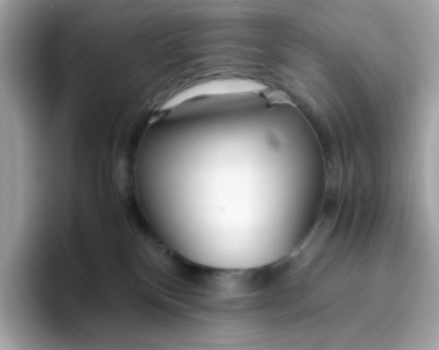 X0000096460136200802141540