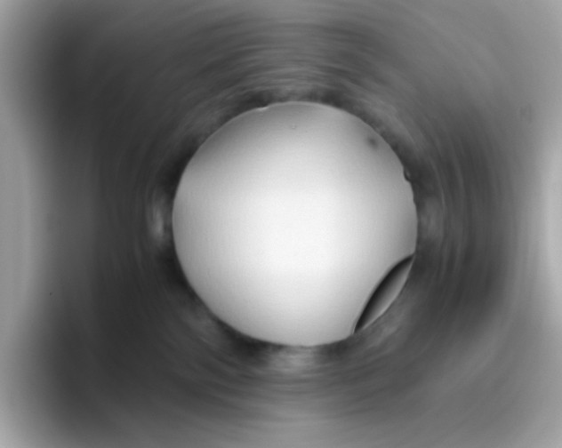 X0000096460138200802141540