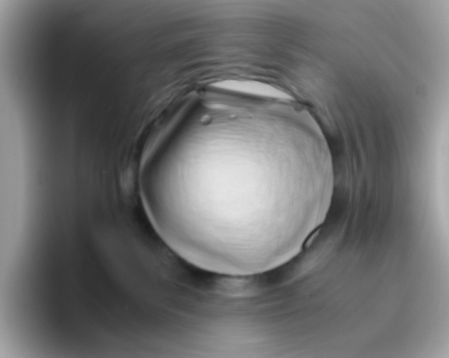 X0000096460139200802141540
