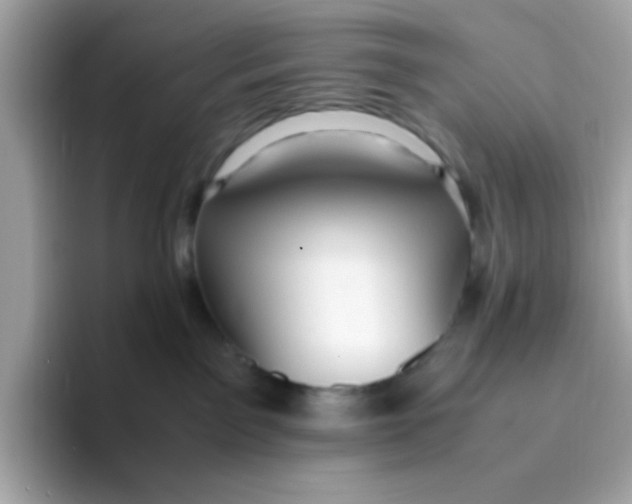 X0000096460141200802141540