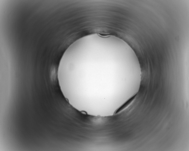 X0000096460142200802141539