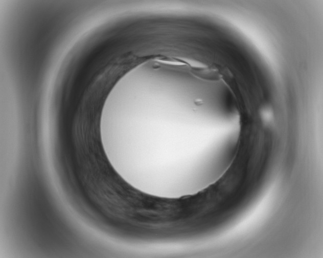 X0000096460143200802141539