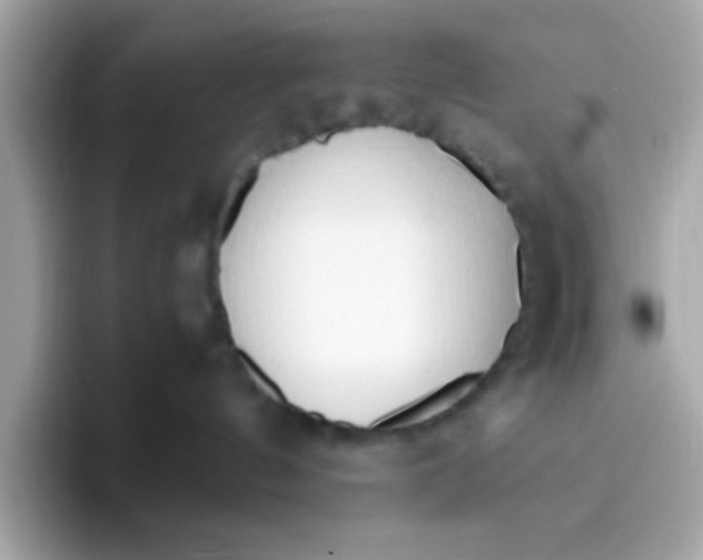 X0000096460144200802141539
