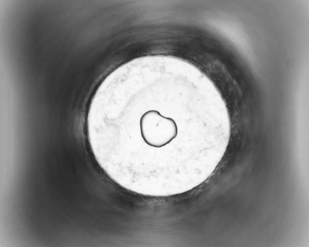 X0000096460146200802141539