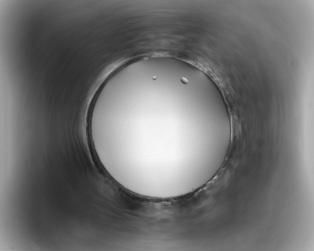 X0000096460147200802141539