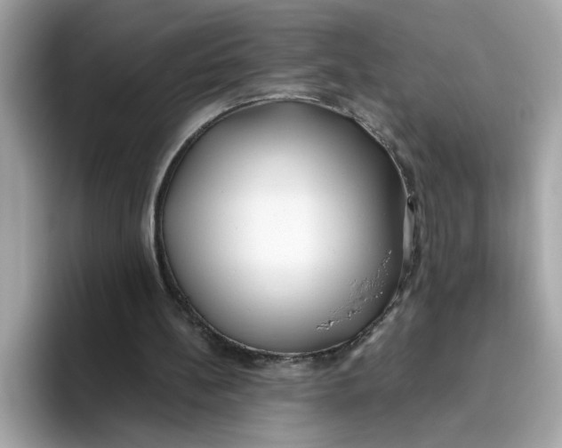 X0000096460148200802141539