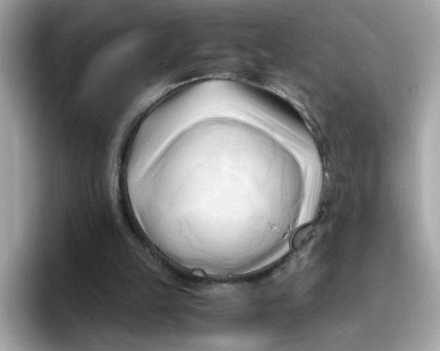 X0000096460149200802141539
