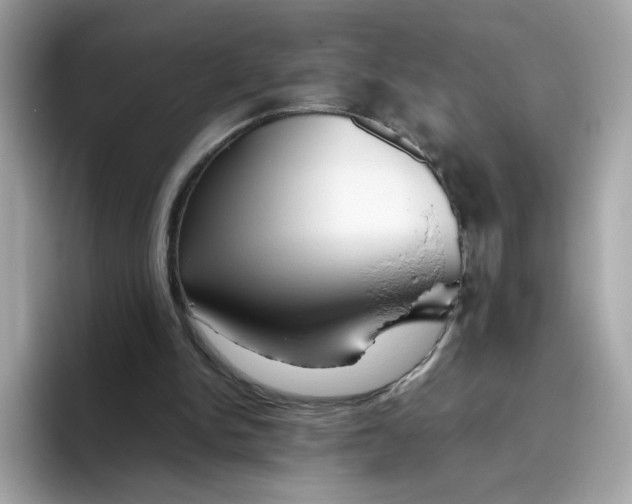 X0000096460150200802141539