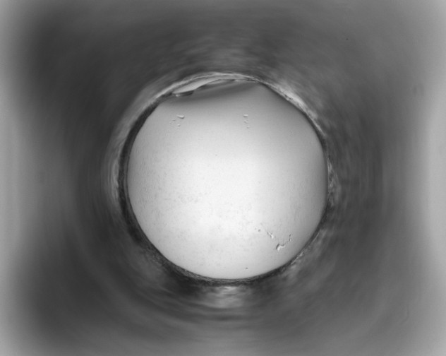 X0000096460151200802141539