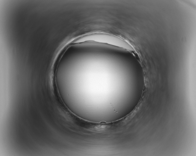 X0000096460152200802141539