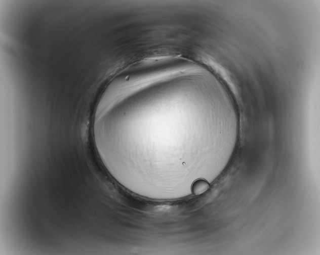 X0000096460153200802141539