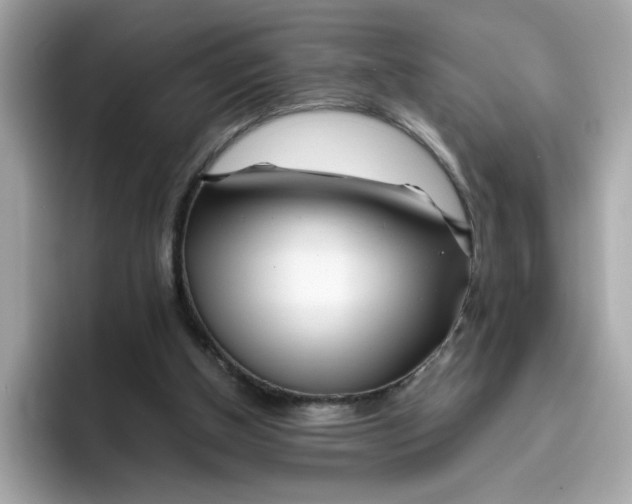 X0000096460154200802141539