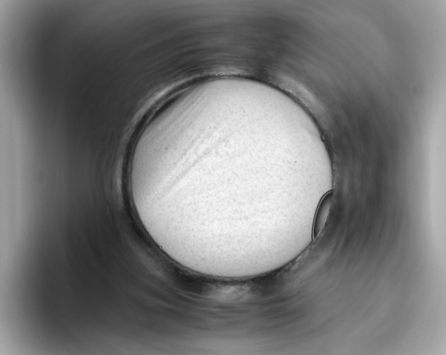 X0000096460155200802141539
