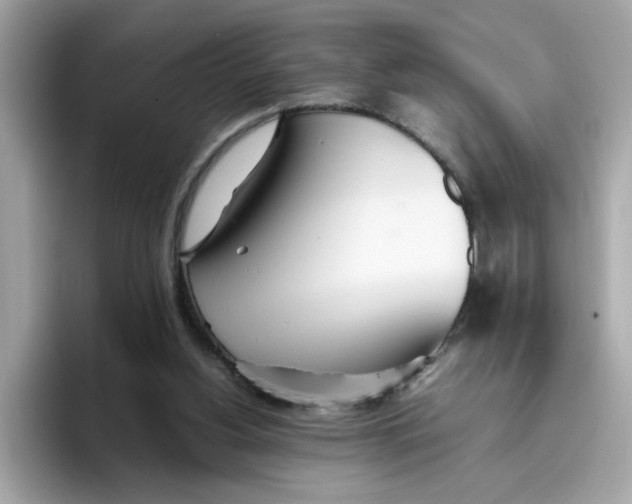 X0000096460156200802141539