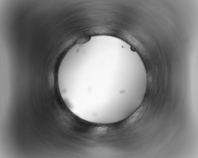 X0000096460158200802141539