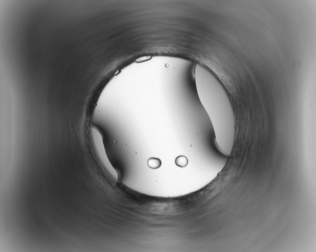 X0000096460160200802141539