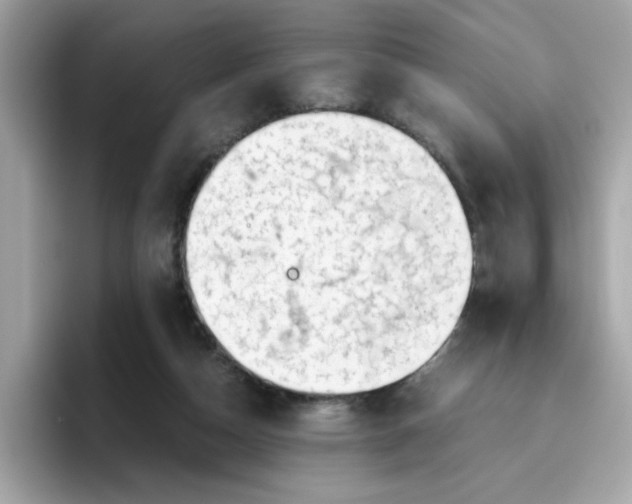 X0000096460162200802141539