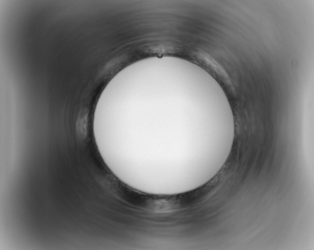 X0000096460163200802141539