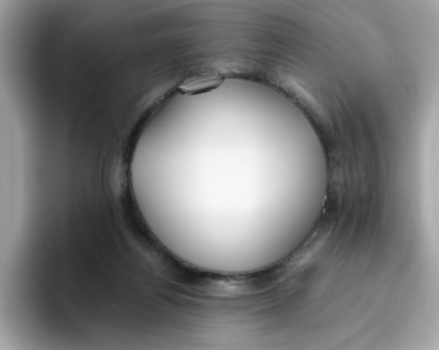 X0000096460164200802141539