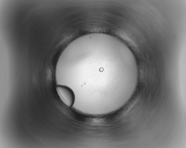 X0000096460165200802141539