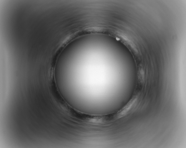 X0000096460168200802141539
