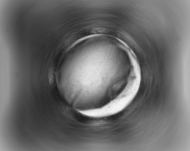 X0000096460169200802141539