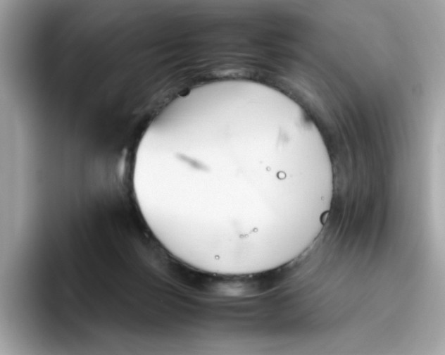 X0000096460171200802141539